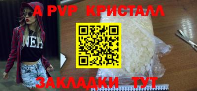прущие грибы Абакан
