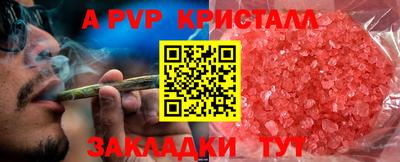 прущие грибы Абакан